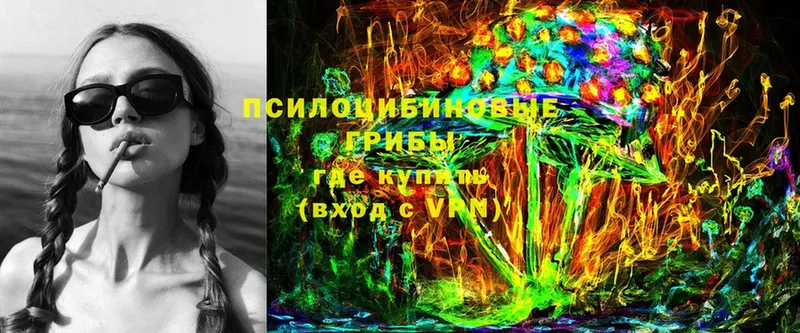 Галлюциногенные грибы Magic Shrooms  Полевской 